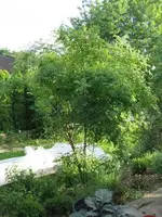 IMG_3296.webp IMG_3296.webp