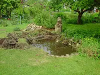 Teich  Mai 09-2.webp