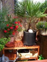 Sortierordner 085.webp