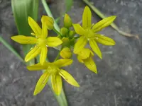 20090518_8345.webp