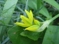 20090518_8314.webp