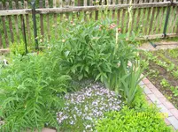 100_1618.webp