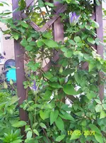 100_1623.webp