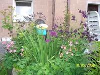 100_1624.webp