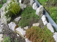 IMGP1460.webp