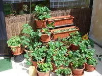 balkon4.webp