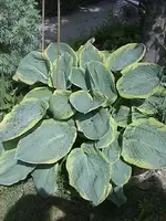 DSC00006.webp