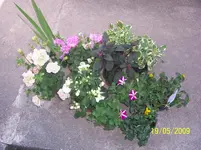 001.webp