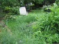 garten_mai2009_hang.webp garten_mai2009_hang.webp