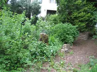 garten_mai2009_beeren.webp garten_mai2009_beeren.webp