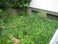 garten_mai2009_nutzgarten.webp garten_mai2009_nutzgarten.webp