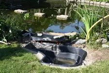 Oberfl. Teich.webp