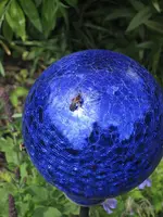 Garten09 006.webp
