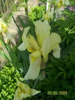 Jugendweihe 081.webp