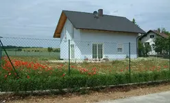 Mohnblumenwiese.webp