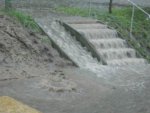 Garten per 29.05.07 - 60,54 Liter Regen in einer Stunde 031.jpg