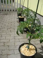 21.05.09 vorm Haus.webp