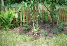 Beet am Apfelbaum von der anderen Seite , hier sieht man den blauen Scheinmohn und den roten ...webp