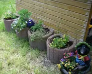 Pflanzringe&Kuebel.webp