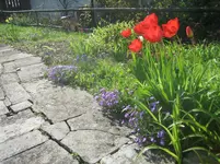 20080420_5281.webp