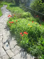 20080420_5294.webp