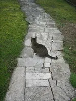 20090401_7779.webp