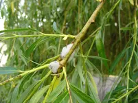 DSC00426.webp