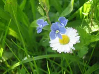 20080507_5393.webp