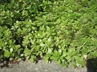 20080702_5876.webp