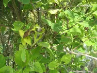 100_1570.webp