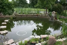 Blick a. Teich.webp