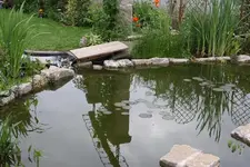 Blick auf Einlauf.webp