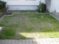IMG_0002.webp