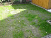 IMG_0004.webp