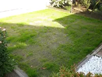 IMG_0008.webp