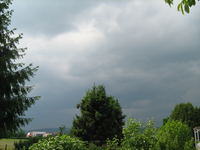 IMG_1705.webp