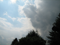 IMG_1706.webp