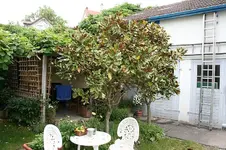 IMG_0238.webp