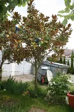 IMG_0240.webp