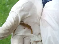 IMGP1765.webp