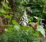 P1060153_600_552.webp