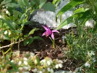 P1060148_600_450.webp
