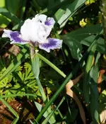 P1060139_517_600.webp