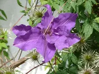 P1060131_600_450.webp