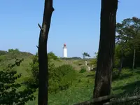 12491.webp