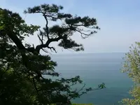 12490.webp