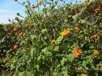 RIMG0017.webp