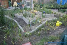 comp_DSC00489.webp