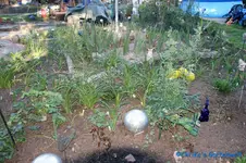 comp_DSC00490.webp