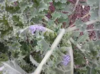 IMG_20130925_165842.webp